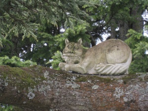 The Cheshire Cat The Cheshire Cat