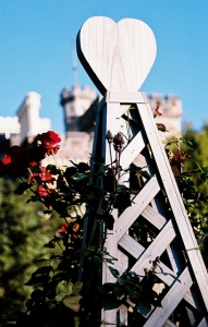 Rose of Hearts Trellis