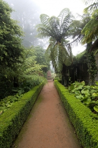 Native Garden Walk