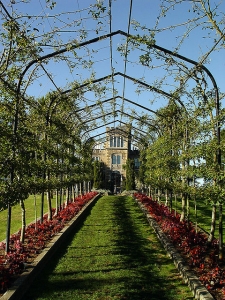 The Main Rose Trellis