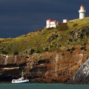 Rounding The Head - Taiaroa Heads